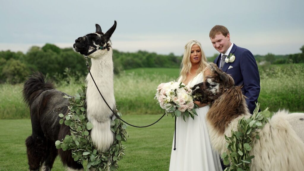 Bride and Groom with Llamas at Bavaria Downs Wedding Videography